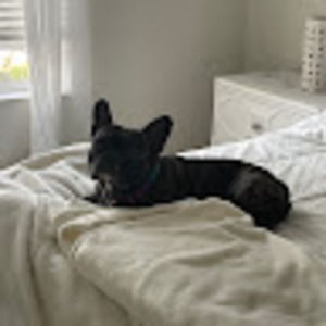 Meet your Posher, Tara